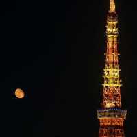 Tokyo Tower , Tokyo , Japan