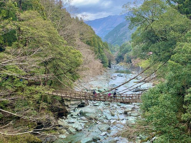 【徳島旅行】日本三大秘境のひとつ！！