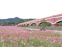 【台東鹿野‧景點】台灣唯一景觀拱型水橋---二層坪水橋  