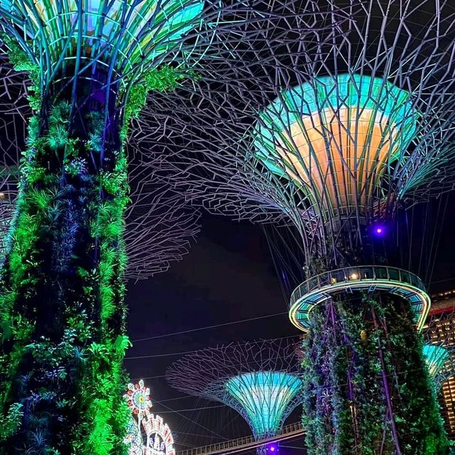 Garden by the Bay - Christmas Wonderland