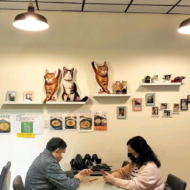 貓奴必來!新店咖哩—迎食流咖哩/蓋飯/歐姆蛋，平價美味，免費加醬加飯一次