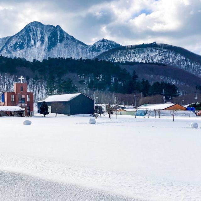 너도나도 인생샷 📸 쌉가능! 겨울 울릉도 나리분지❄️