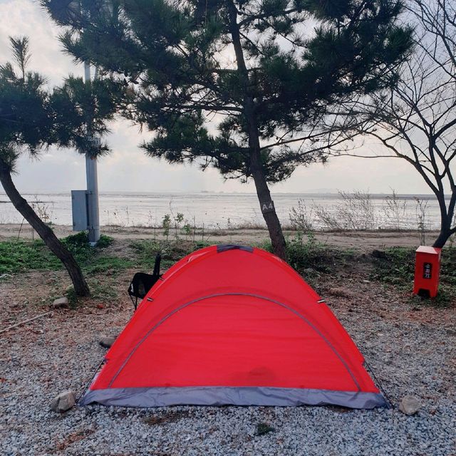 바닷가 바로 옆에서 캠핑하기! 대부도 비치캠핑장