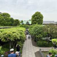 【東京】東京で藤の花といえばの名所