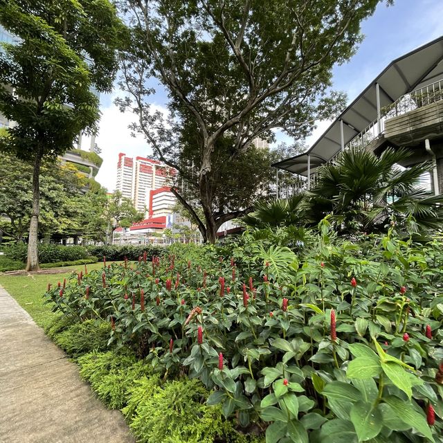 Hong Lim Park 