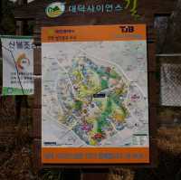 대전 우성이산 등산 