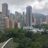 高高在上飽覽中環景色