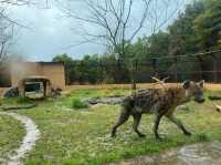 日本第一位動物園｜高知縣立野市動物園