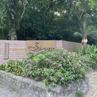 位於台北市區的仙境步道 富陽生態公園