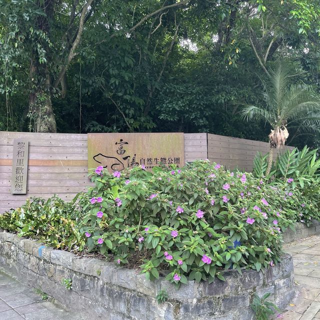 位於台北市區的仙境步道 富陽生態公園