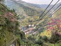 烏來最特別的天上遊樂園 不然要搭纜車才可以到