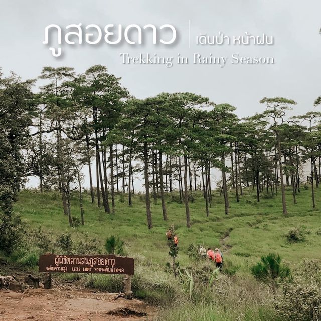 เดินป่าหน้าฝน - ภูสอยดาว 🌲🏞🌌🌫💫