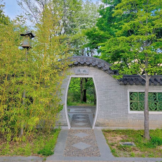 당일 중국여행 월화원🌿