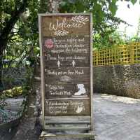 Bee-autiful Experience in Panglao