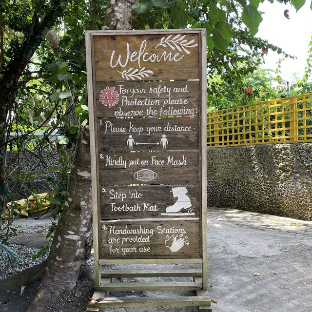 Bee-autiful Experience in Panglao