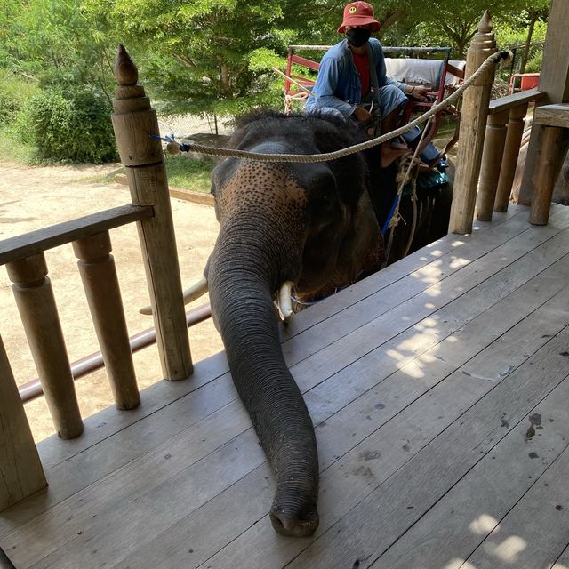 Hua Hin Safari Adventure Park