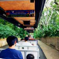 Jurong Bird Park