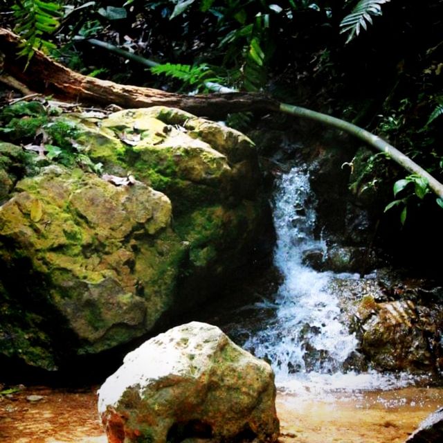 A Hike At Mount Lambak, Kluang