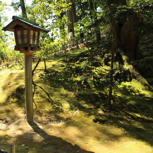 【金沢】圧倒的な日本庭園兼六園！