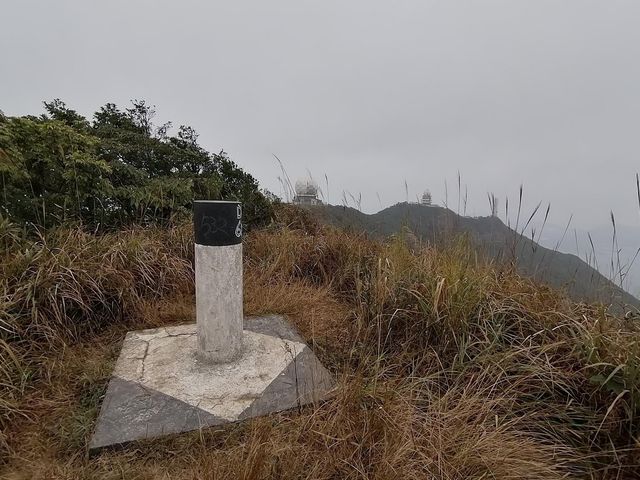港島徑柏架山段 