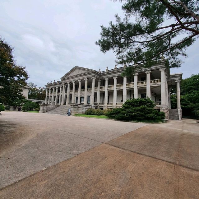 고궁 피크닉 ⛩️ 1000원으로 즐기는 덕수궁 소풍~