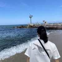 동해바다의 대표_ 강문해변⛱️