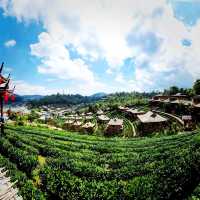 Traditional Scenic Thai Chinese Village