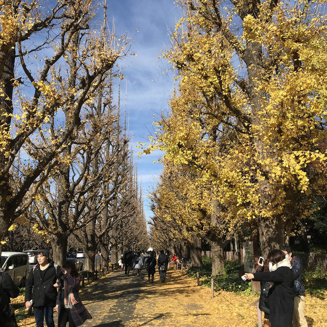 Beautiful Photo Spot in Tokyo 