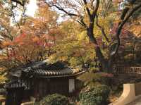 シャッターを押せば全てが美しく写る吉祥寺