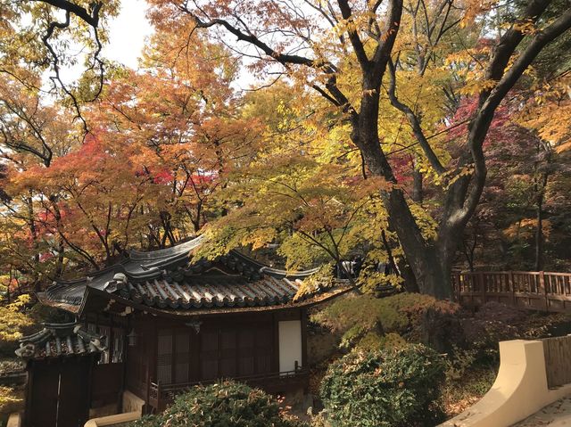 シャッターを押せば全てが美しく写る吉祥寺