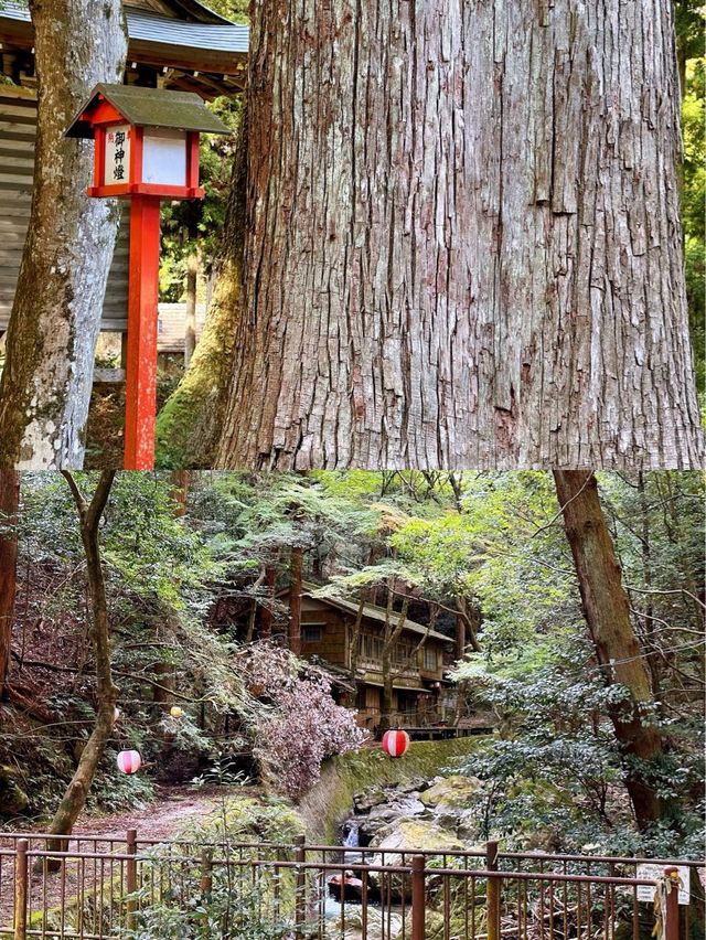 日吉大社大社