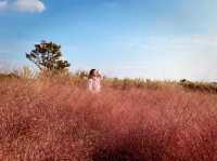 Hunt for Pink Grass! 