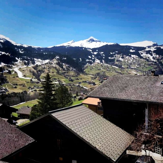 Grindelwald village in Switzerland 