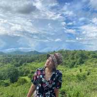 ใบไม้ใบหญ้าค่าเฟ่