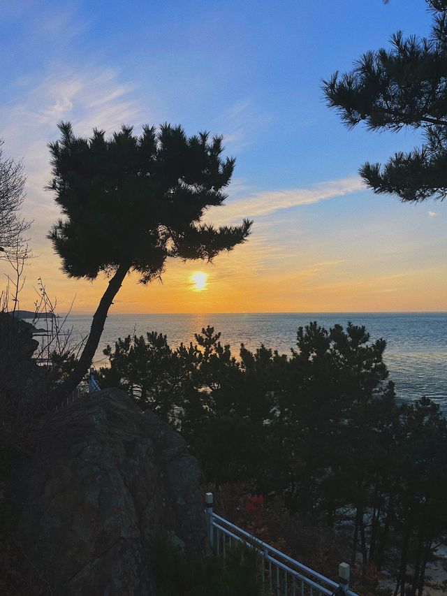 엠클리프 ✨ 영종도 오션뷰 카페