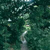 บ้านธารกล่อม นอนฟังเสียงน้ำไหลในอ้อมกอดธรรมชาติ 🌲