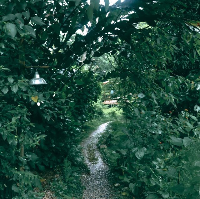 บ้านธารกล่อม นอนฟังเสียงน้ำไหลในอ้อมกอดธรรมชาติ 🌲