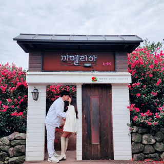 동백꽃+유채꽃+감귤= 휴애리가 정답
