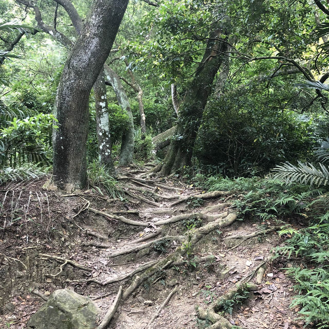 桃園 溪洲山 