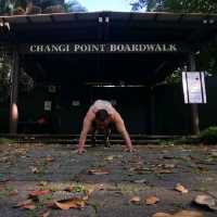Changi Point Broadwalk 