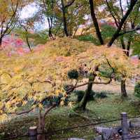 京都[紅葉めぐり]  永観堂[禅林寺]  (感動の庭園編)