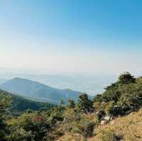 登上去全香港最高的山峰⛰️大帽山之旅