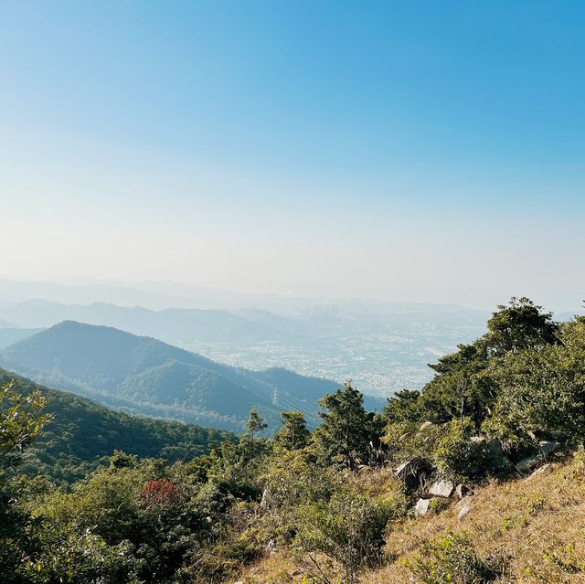 登上去全香港最高的山峰⛰️大帽山之旅