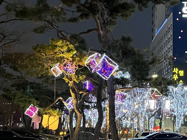 야경이 예쁜 대전 '유성온천공원'  