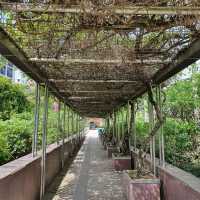 Istana Park