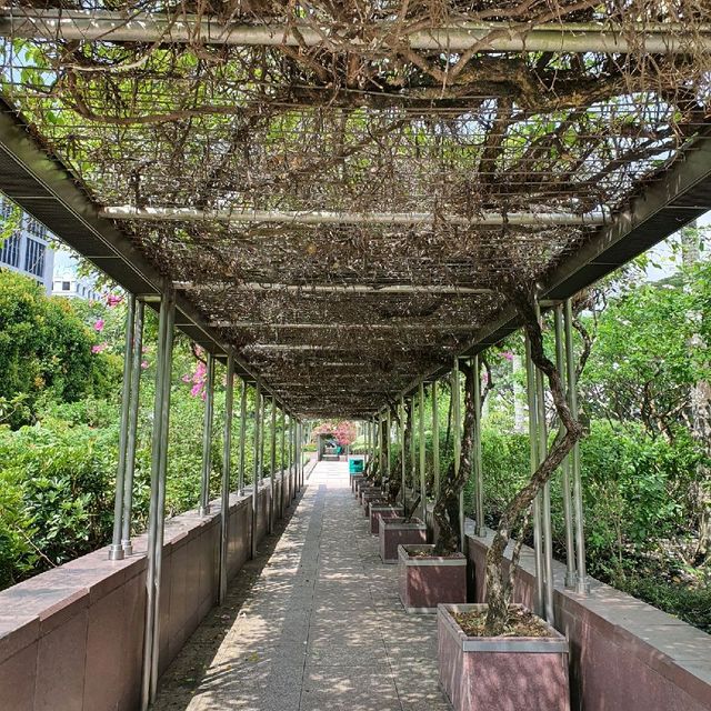 Istana Park