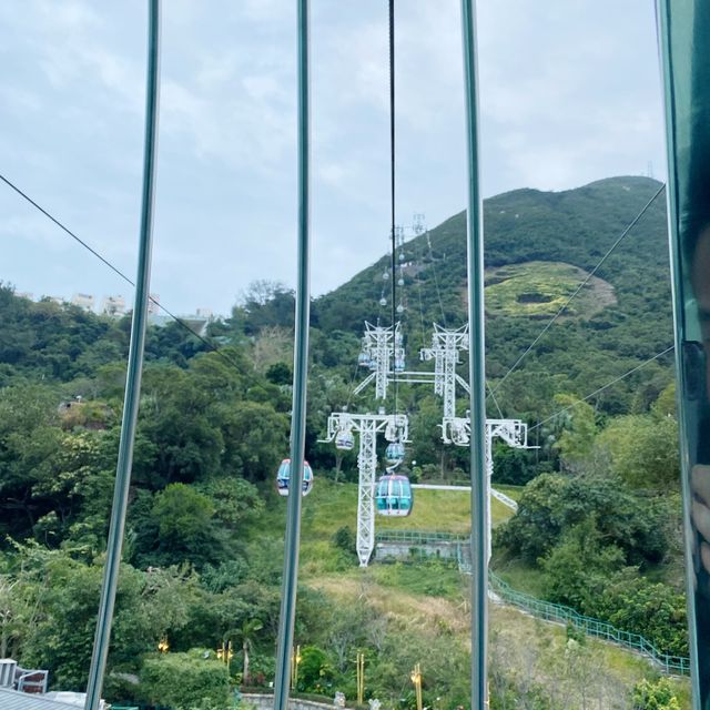 海洋公園纜車遊 海洋公園纜車遊