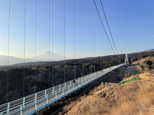 【静岡】日本一の吊橋・三島スカイウォーク