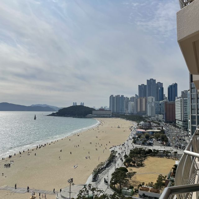 오션뷰가 아름다운 파라다이스 호텔 고층룸 편