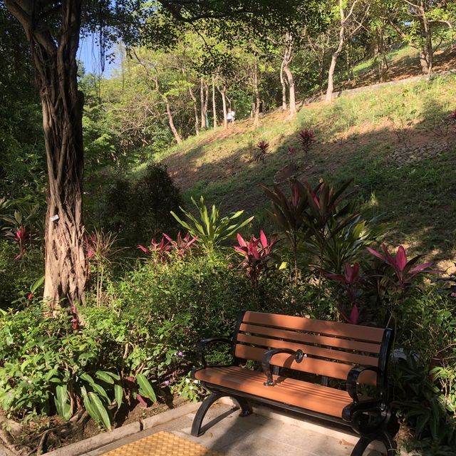 🌲荃灣後花園🌹尋找復活兔🐰